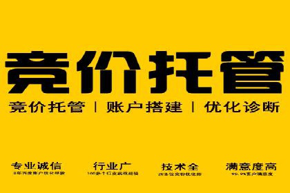 sem竞价推广托管成功案例：助力品牌快速崛起